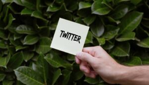 Read more about the article Perché utilizzare Twitter per il proprio piano marketing?